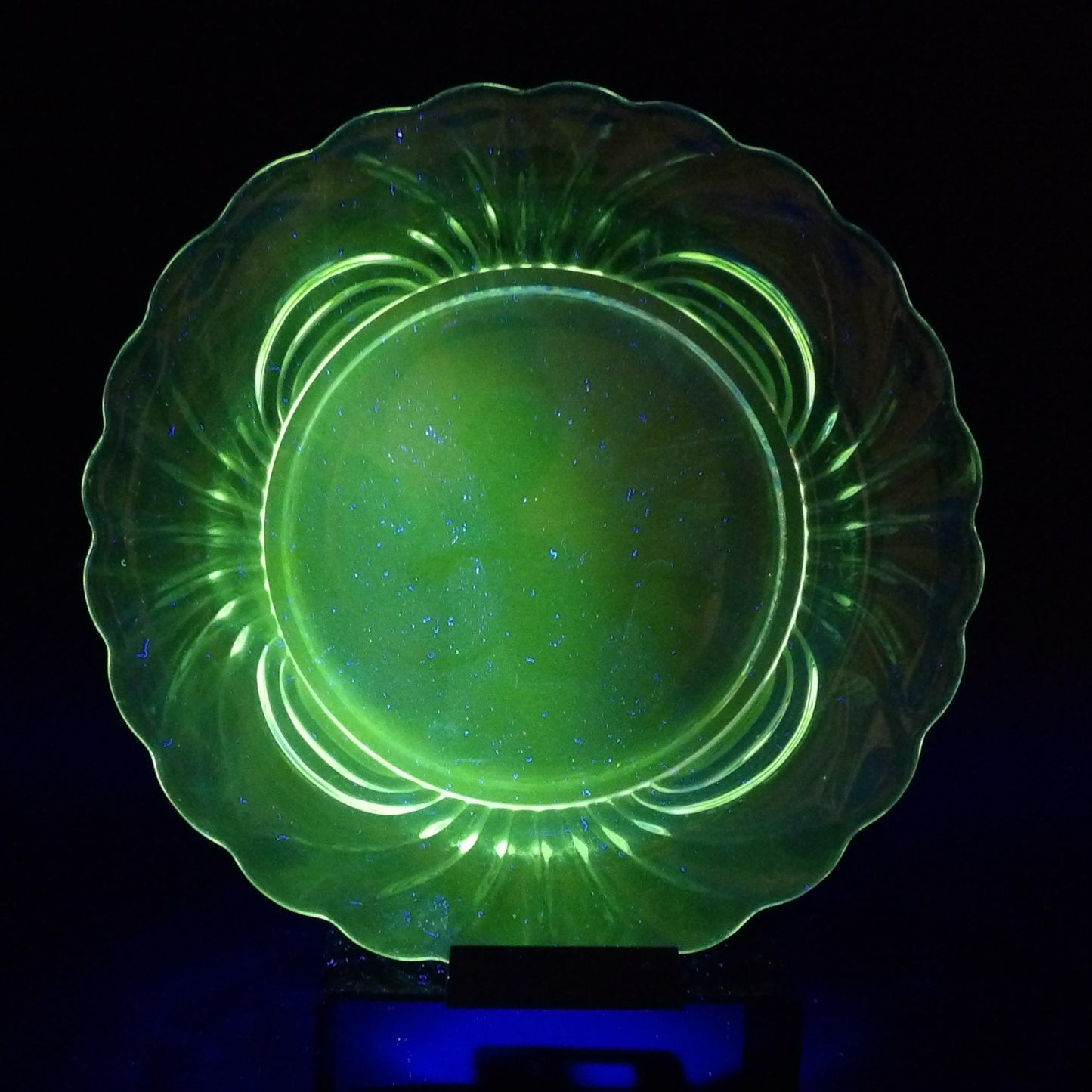Cambridge Glass Caprice 9" Plate